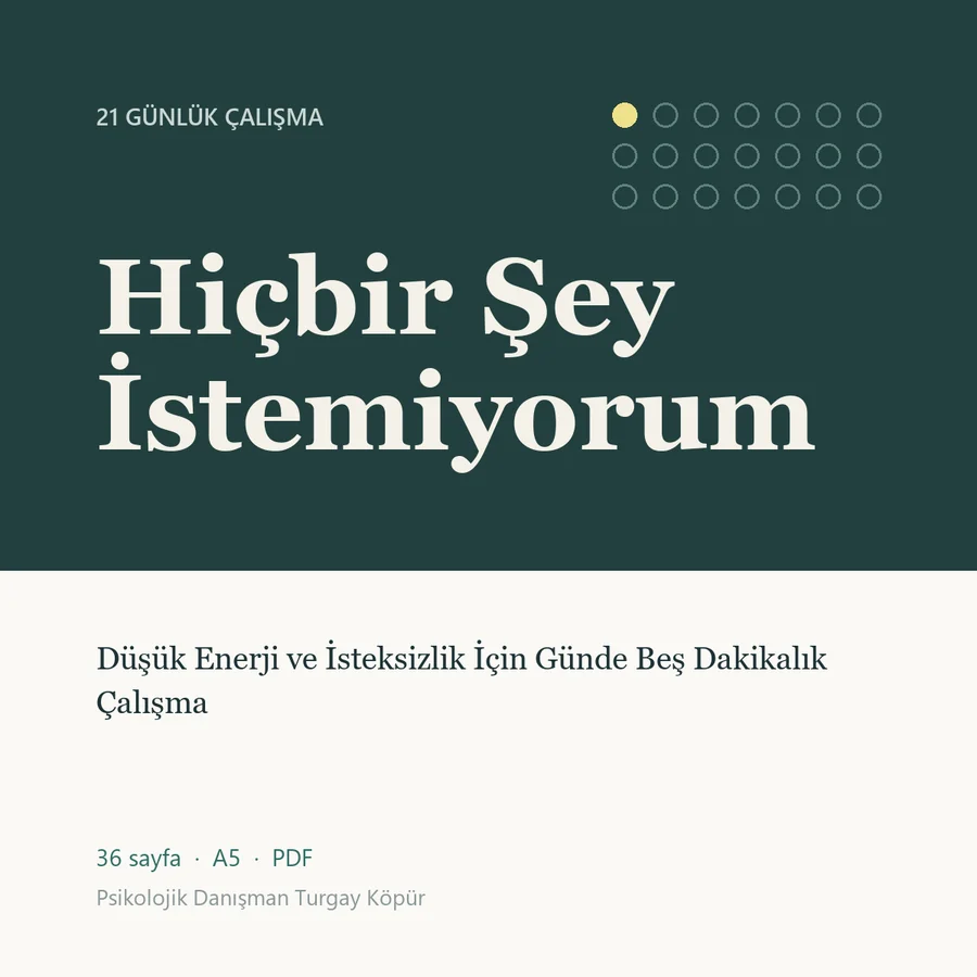Hiçbir Şey İstemiyorum — kapak