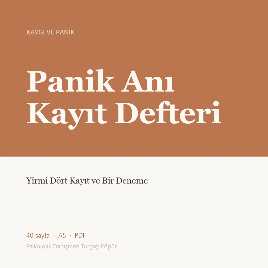 Panik Anı Kayıt Defteri — kapak